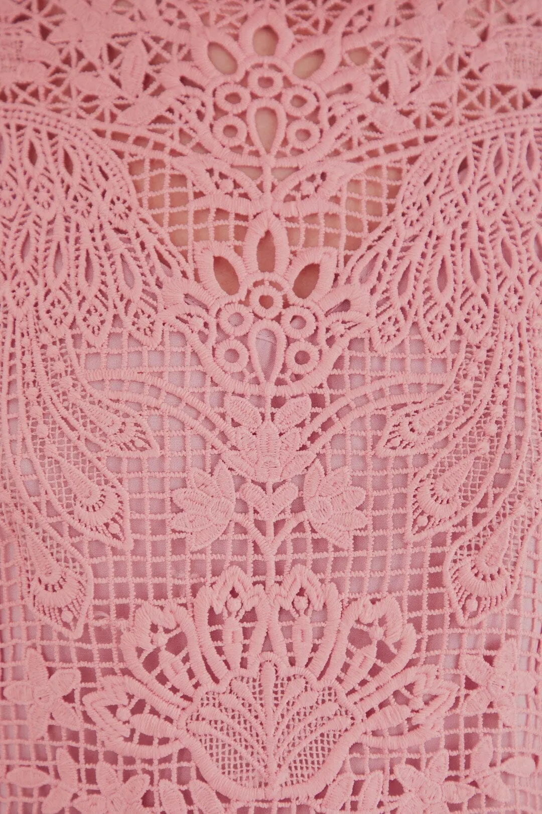 Blush Pink Guipure Long Sleeve Blouse