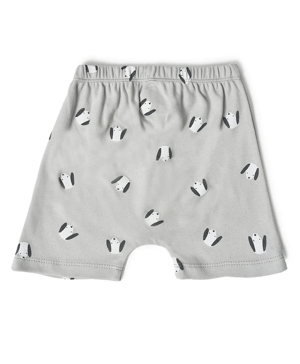 Buddy Kids Comfy Shorts- Pack of 3
