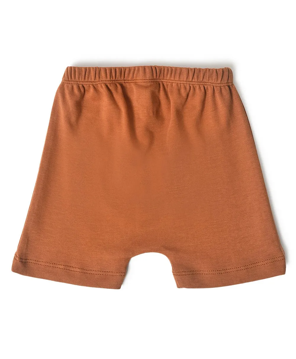 Buddy Kids Comfy Shorts- Pack of 3