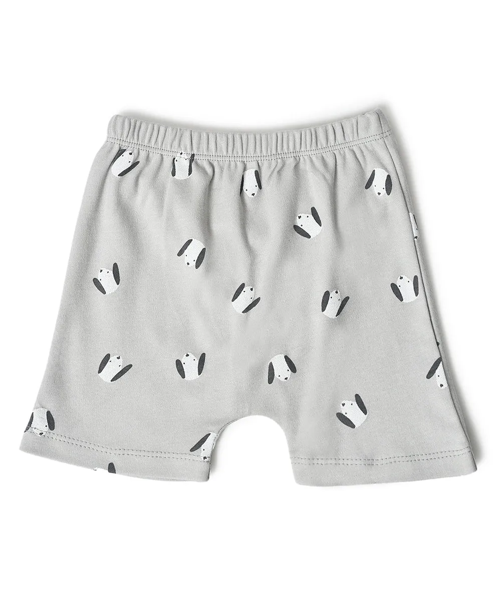 Buddy Kids Comfy Shorts- Pack of 3
