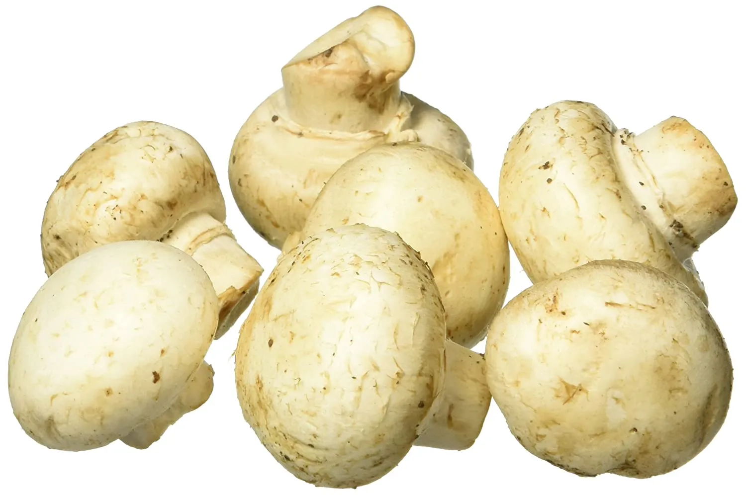 MUSHROOM FOODSERVICE FRESH PACK OF 1X5LB