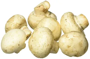 MUSHROOM FOODSERVICE FRESH PACK OF 1X5LB