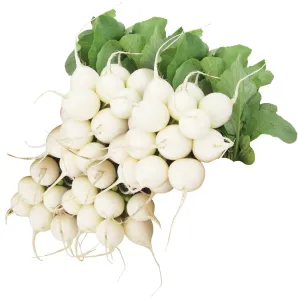 Radish Pearl Organic Seed